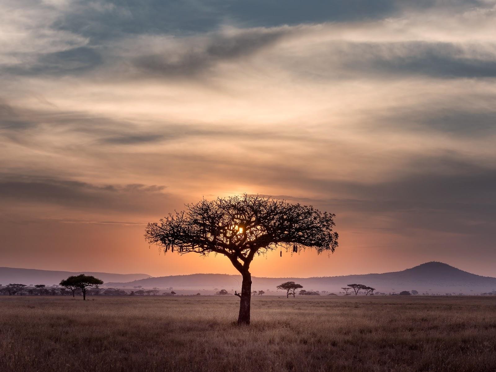 7 Reasons Why Tanzania Is The Perfect Holiday Destination Baron Mag   Image1 